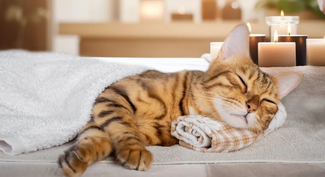 The Art of Doing Nothing
