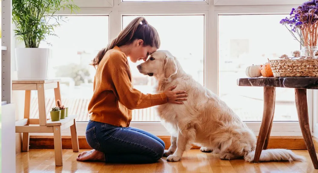 Can Dogs Read Your Feelings?