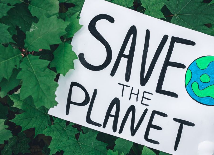 The Environment & Climate Change