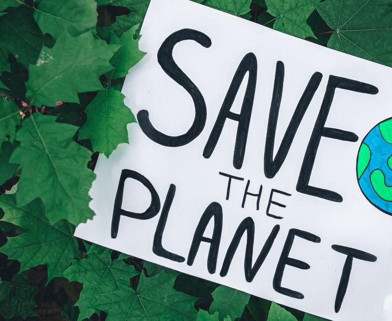 The Environment & Climate Change